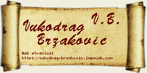 Vukodrag Brzaković vizit kartica